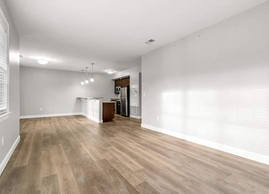 Large apartment floor plan living room and kitchen in background