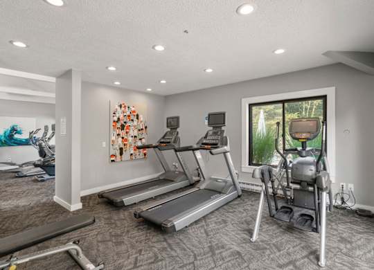 A spacious home gym with treadmills and elliptical machines.