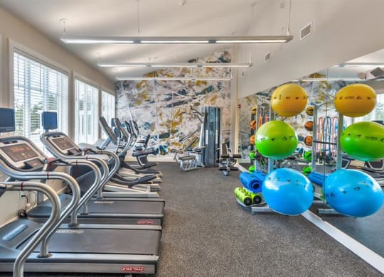 Redbrook community room fitness center with cardio equipment, free weights, and cable machines