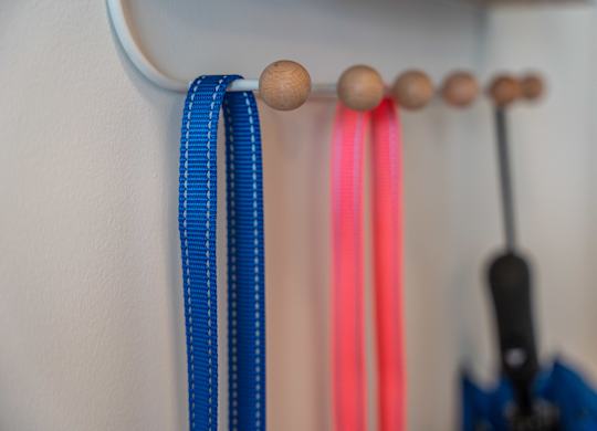 Leashes hanging on front door shelf at the Mastlight.