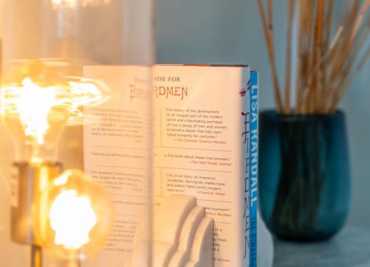 A table with a book, a vase with reeds, and a lamp with a glowing bulb at the Mastlight.