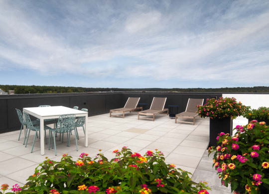 Rooftop deck with sunbathing chairs