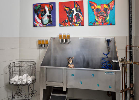 a dog sitting on a table in front of a painting of a dog