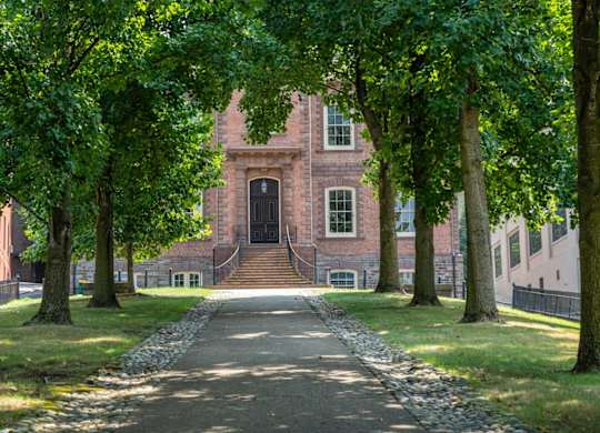A pathway with trees on both sides leads to a building.