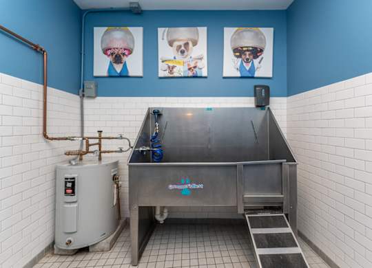 A dog is shown on a poster in a room with blue walls.