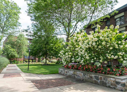 Landsaping in the quincy commons courtyard