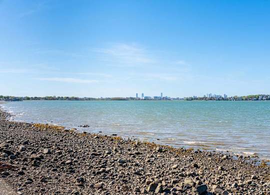A rocky beach with a city skyline in the distance under a clear blue sky.