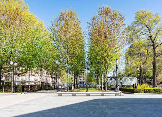 A park with a bench and trees.