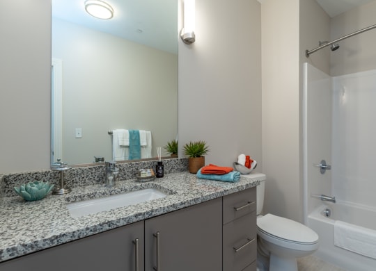 Two bedroom model apartment with gray cabinets, large mirror, and granite countertop