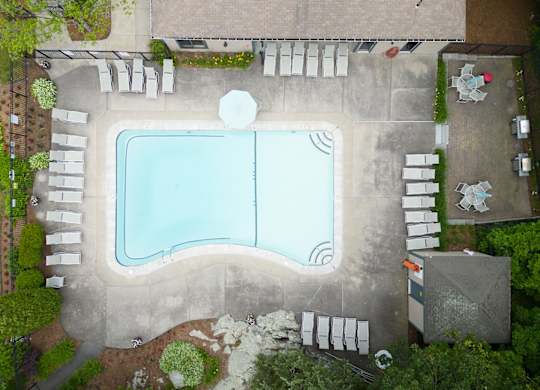 aerial view of a swimming pool with lounge chairs and plants around it