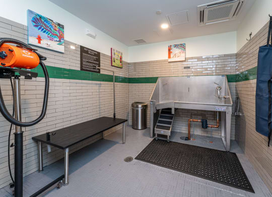 union 346 pet spa and washing station at Union 346, Massachusetts