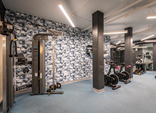 fitness center bikes and  cable machineat Union 346, Somerville, 02143