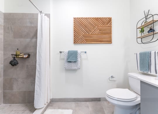 a bathroom with a shower and a toilet at Union 346, Somerville, MA