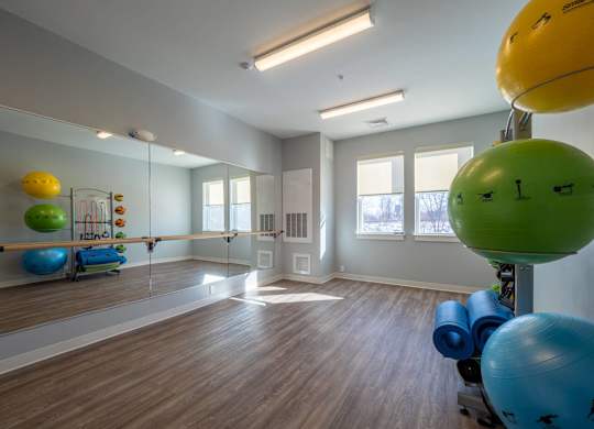 A tranquil yoga and exercise studio with natural light and fitness equipment.