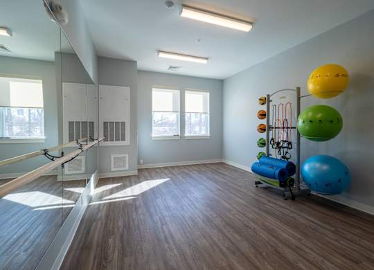 A tranquil yoga and exercise studio with natural light and fitness equipment.