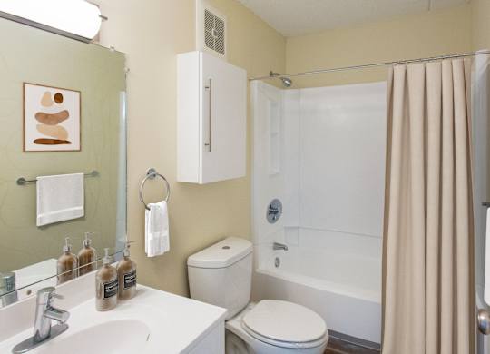 a bathroom with a shower and a sink and a toiletat North Stoughton Village, Massachusetts, 02072
