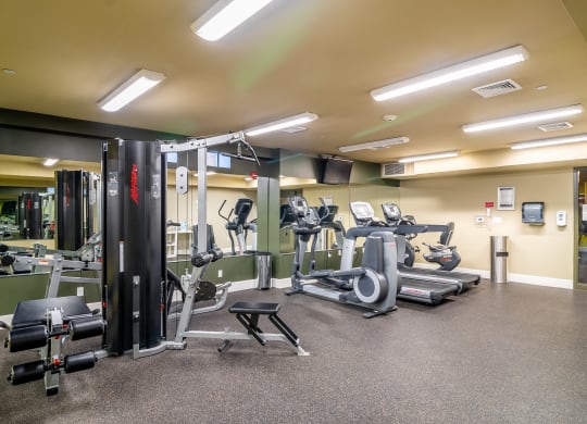 Fitness Center with Modern Equipment.