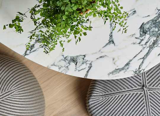 a table with a black and white table cloth and a plant on it