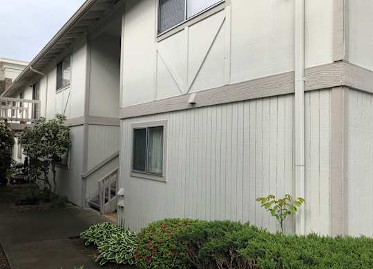 Bridgeport Terrace Apartments with white and tan exterior walls surrounded by trees & shrubs