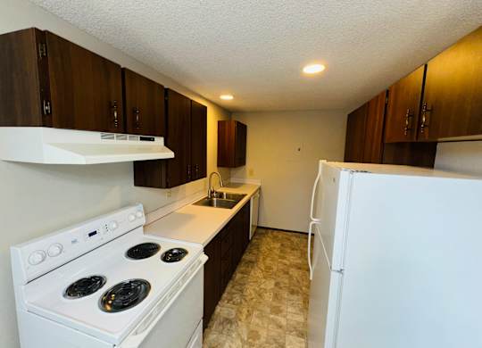 Kitchen view with electric range, range hood, double sink, and extended counter space with dark cabinetry in 1-bedroom apartment