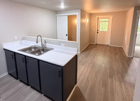 A kitchen with a sink and cabinets.