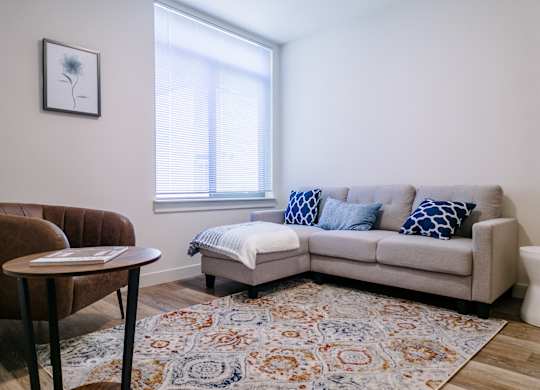 Studio living room with sofa, rug, lounge chair and small table