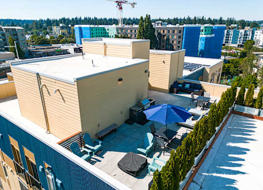 Aerial view of Bode125's rooftop lounge with umbrellas, seating, BBQ's, and foliage