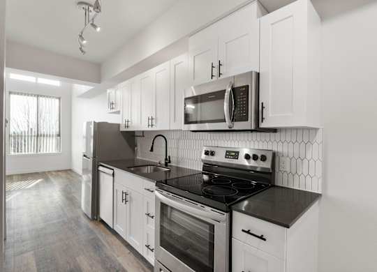 Modern 1-bedroom apartment at Bode-88 that includes kitchen with stainless steel appliances, white cabinets and black quartz countertops