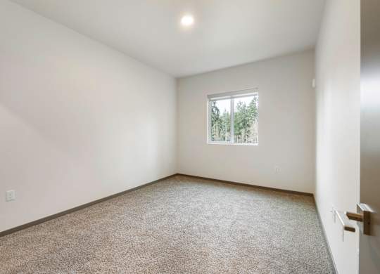 Empty room with carpet and a window.