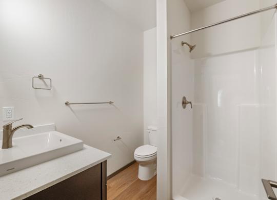 Master bathroom with sink, shower and toilet.