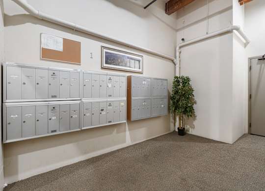 A room with a wall of filing cabinets and a potted plant.