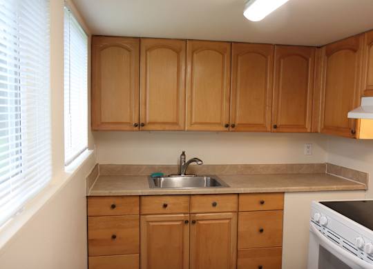 Wooden cabinets and tan-colored countertop with basin sink and several windows in 2-bedroom Horizon Park apartment