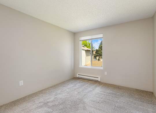 A bedroom with a window and a carpeted floor.