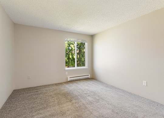 A bedroom with a window and carpeted floor.