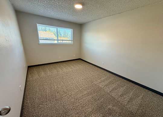 A room with a carpeted floor and a window.