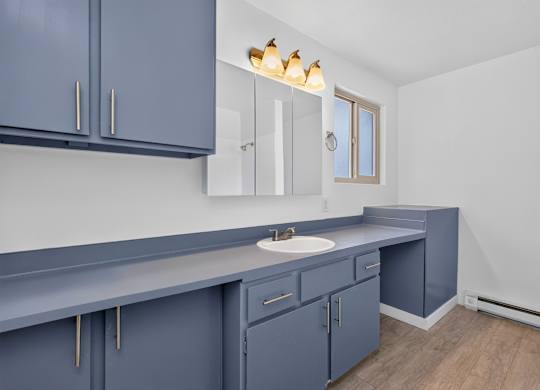 A kitchen with blue cabinets and a white sink.