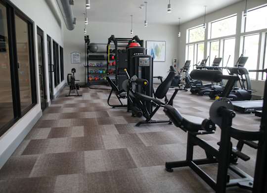 A gym with a variety of equipment including treadmills, weights, and exercise machines. at The Azul Apartment Homes, Mississippi, 38655