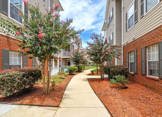 a sidewalk in front of an apartment building with trees and bushes at Summit of Shreveport Apartments, Shreveport