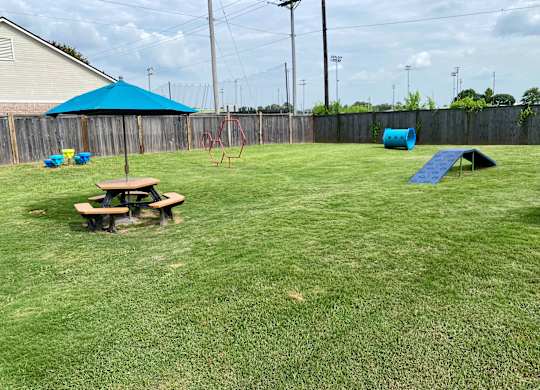 A backyard with a blue umbrella and a slide.