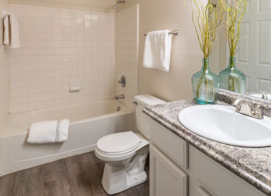 Bright Bathroom at Meadow View Apartments and Townhomes, Springboro, OH
