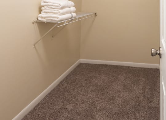 Generous Walk In Closets With Shelving at Meadow View Apartments and Townhomes, Springboro, OH, 45066