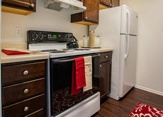 Efficient Appliances In Kitchen at The Lodge Apartments, Indianapolis, Indiana