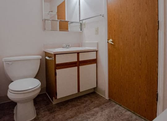Modern Bathroom Fittings at Walnut Creek Apartments, Kokomo, IN