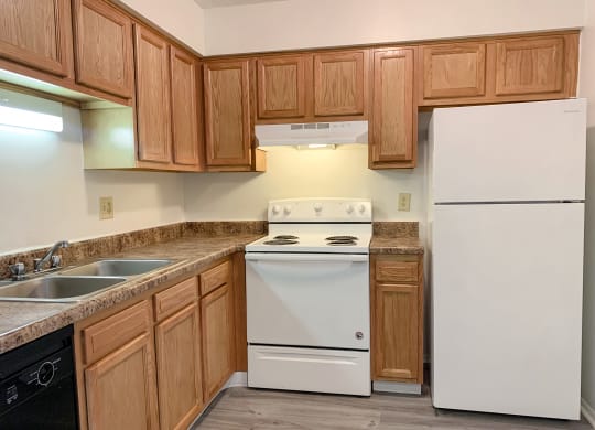 Modern kitchen with faux plank flooring at Waterstone Place Apartments in Indianapolis, IN 46229