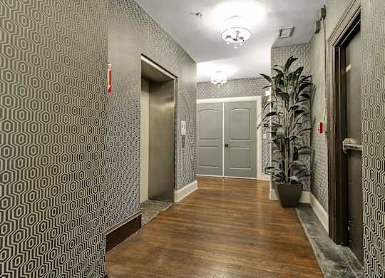 a hallway with two doors and a potted plant at The Knights @ 506 Delaware Apartments, New York