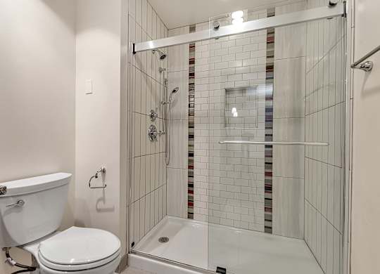 Spacious walk-in shower with recessed niche at The Lofts at Elk Terminal Apartments, New York