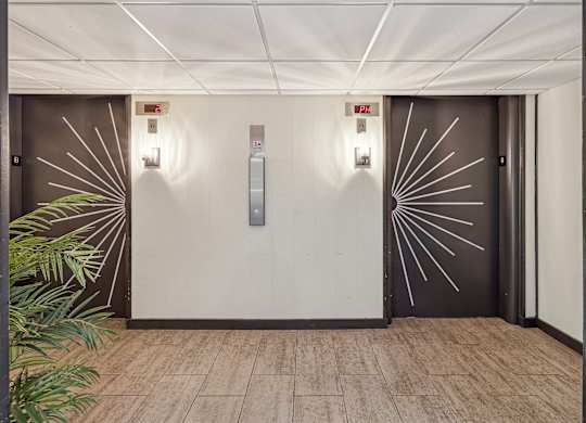 A white wall with two elevators and a plant on the left at Walnut Towers at Frick Park, Pennsylvania 15217