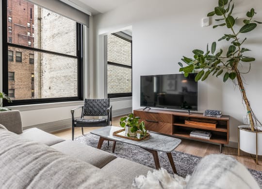 a living room with a couch and a tv and two windows at The Commonwealth Building, Pennsylvania