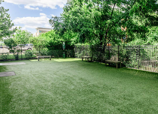 A green lawn with a fence and trees.