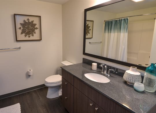 a bathroom with a toilet sink and mirror at Walnut on Highland, Pittsburgh, PA